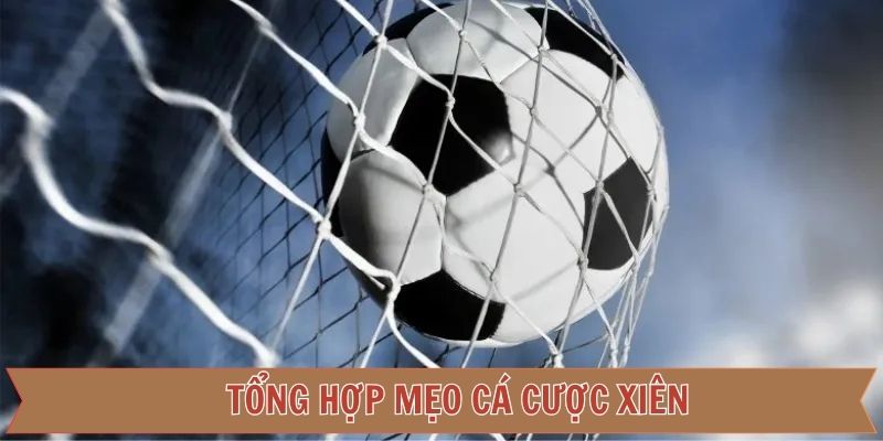 Những cách giúp tối ưu lợi nhuận dành cho người chơi
